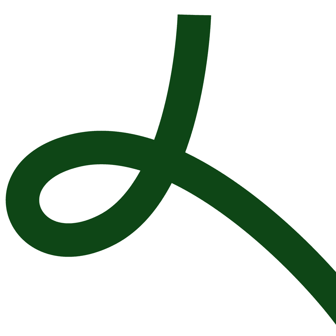 decorative lines